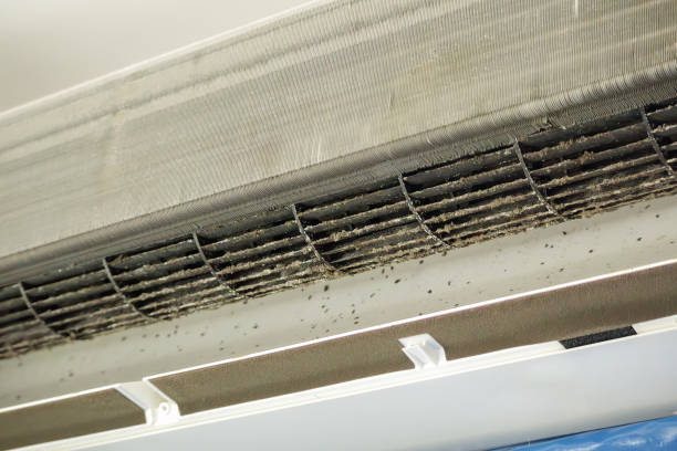 Best Air Duct Cleaning Near Me  in Eaton, CO