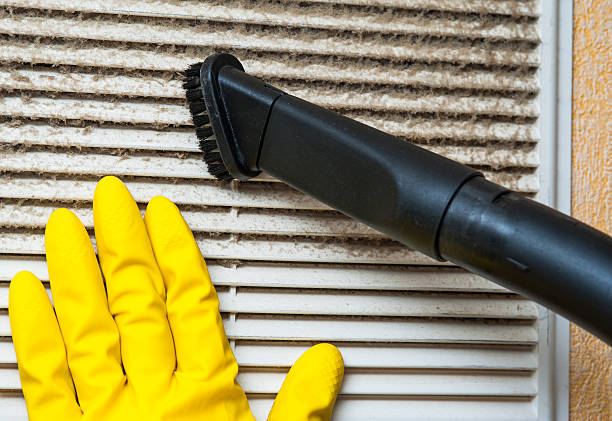 Best Air Duct Mold Removal  in Eaton, CO